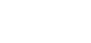 BDLservis